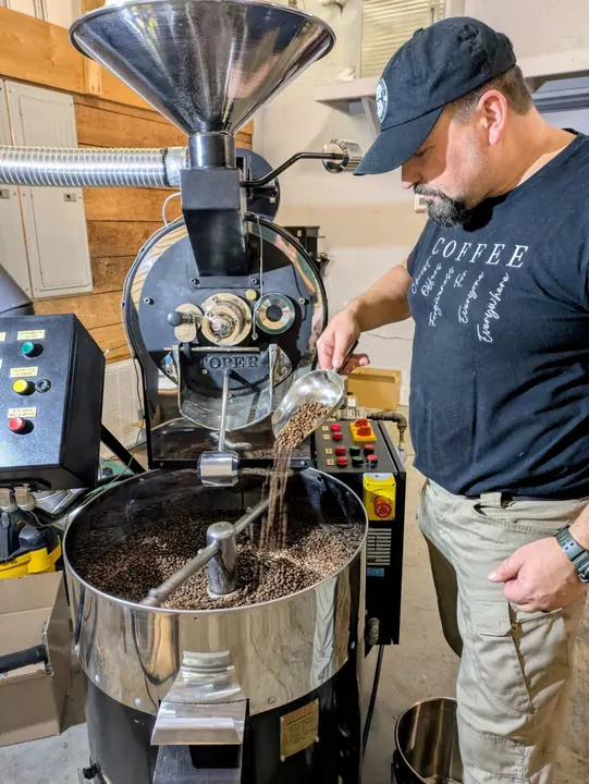 Roasted coffee beans being poured into the roasting machine cooling tray